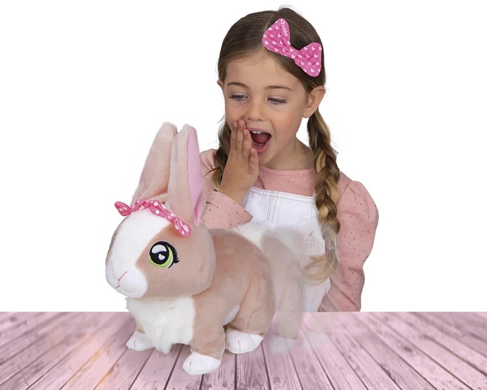 Zdjęcie 6