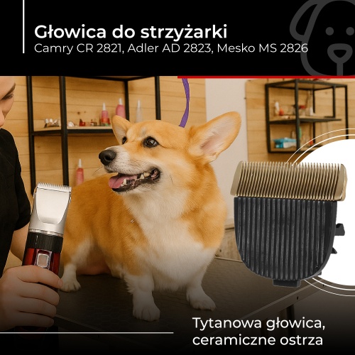 Zdjęcie 8