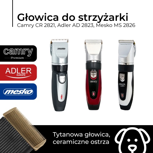 Zdjęcie 2