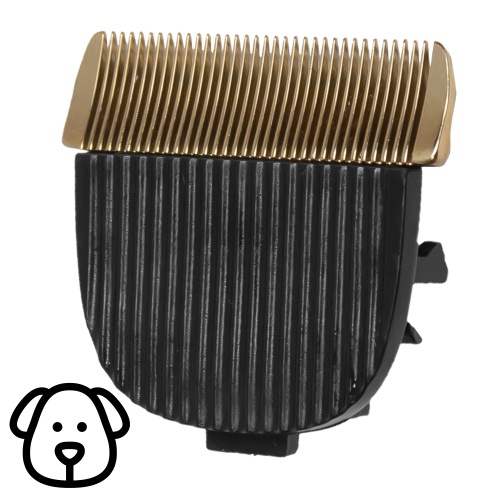 Zdjęcie 6