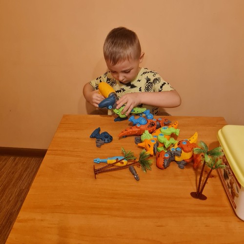 Zdjęcie 9