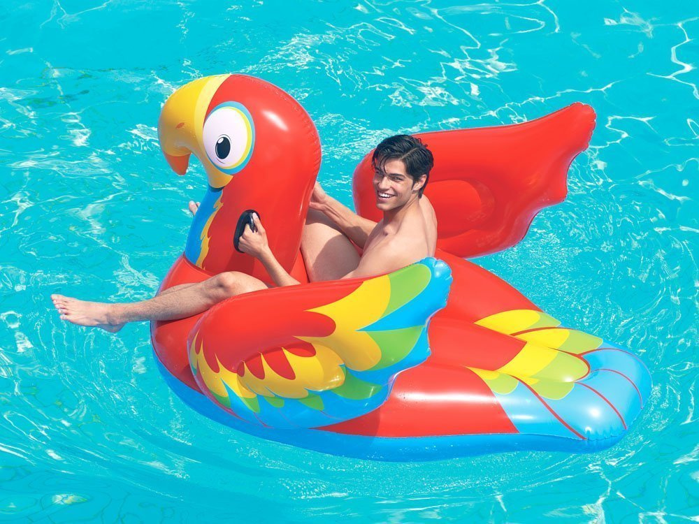 Zdjęcie 7